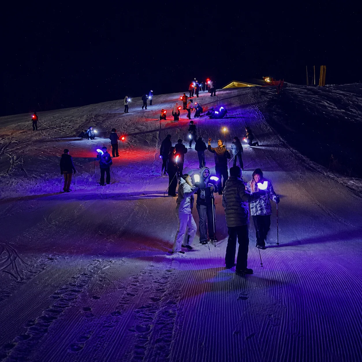 Sledging